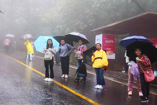 yL23411永利集团官网登录