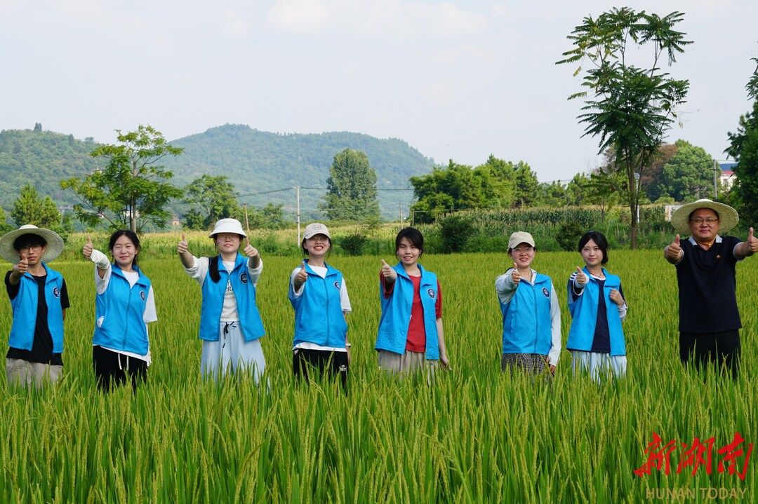 yL23411永利集团官网登录