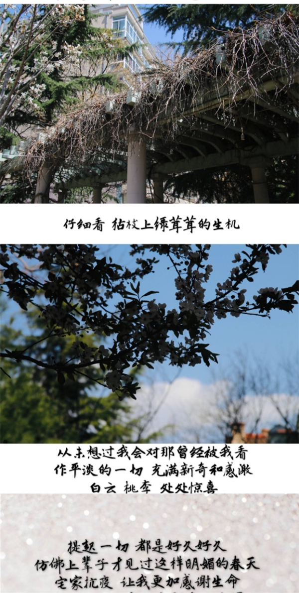 yL23411永利集团官网登录